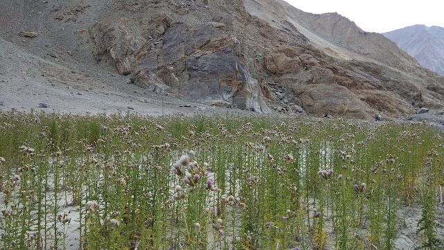 Leh Ladakh Bike Trip