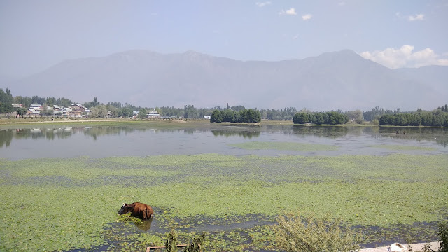 Leh Ladakh Bike Trip