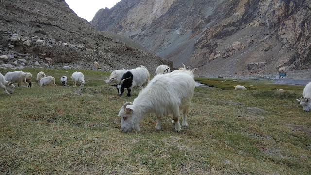 Leh Ladakh Bike Trip