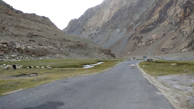 Leh Ladakh Bike Trip